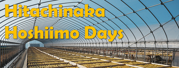 バナー画像：ひたちなか ほしいもデイズ