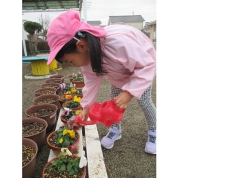 写真：花に水やりをしている女の子