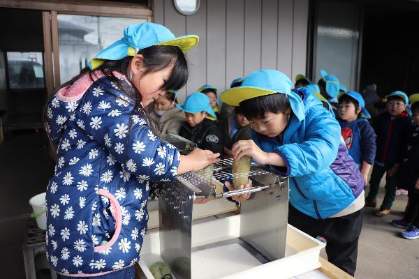 写真：干し芋を道具に通して平たく加工している様子