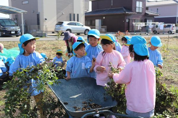 写真：落花生の実り方をみんなで話し合っている様子