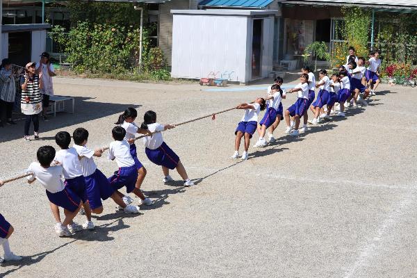 写真：綱引きを本気で引っ張る中学生