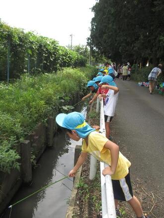 写真：ざりがにを釣っている最中の園児達