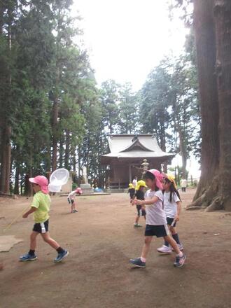 写真：神社で遊ぶ園児達