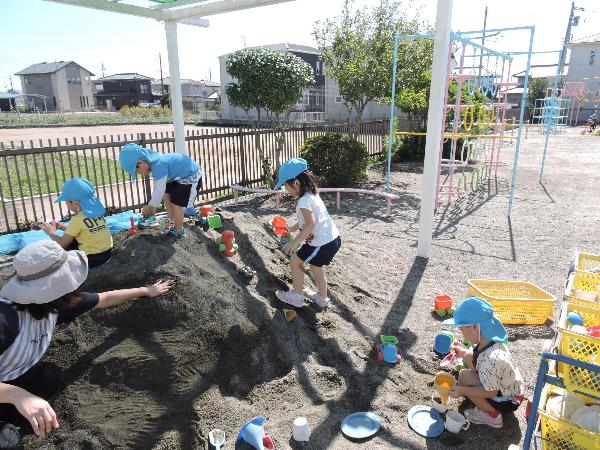 写真：ひよこ分散2