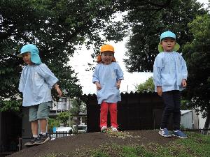 写真：築山の上で下を見ている幼稚園生