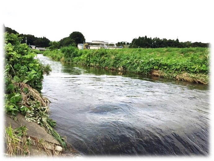 写真：早戸川