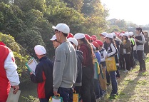 写真：川から排水口を見ている様子