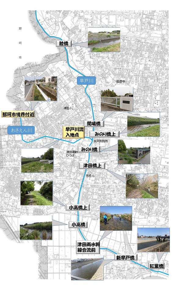 地図：調査地点