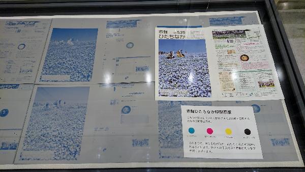 写真：市報写真展その7