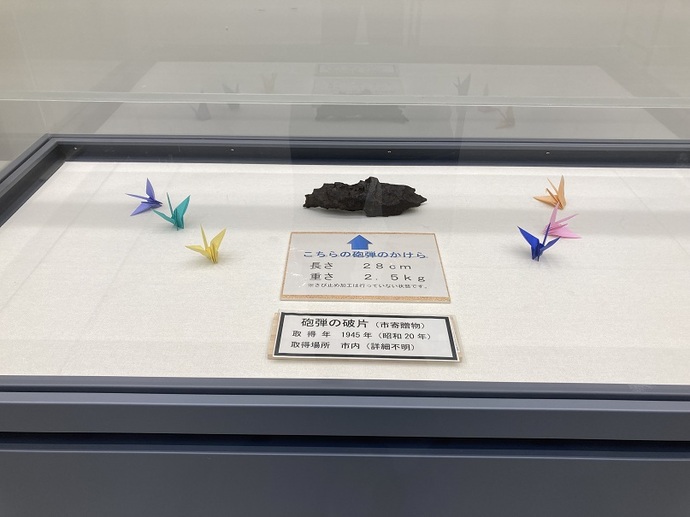 展示ケースの展示の様子