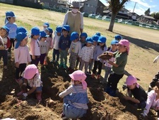 芋掘りしている様子を見る2歳の子ども達
