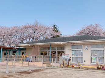 青空と満開の桜を背に、色とりどりの花に囲まれた保育所園舎