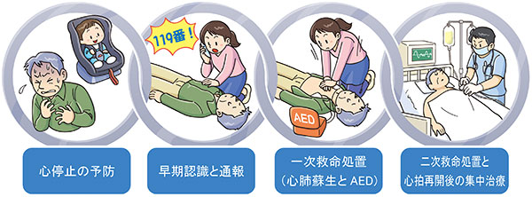 イラスト：救命の連鎖（心停止の予防・早期認識と通報・一時救命処置（心肺蘇生とAED）・二次救命処置と心拍再開後の集中治療）