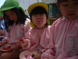 写真：いちごを食べる子供たち1