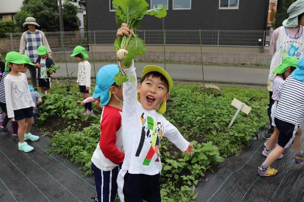 写真：かぶを掲げる子ども