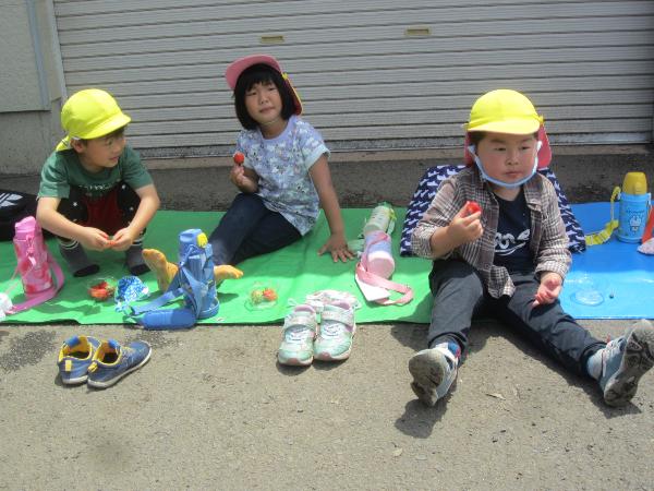 写真：5月28日いちごを食べる様子2