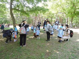 写真：海浜公園で親子遠足9