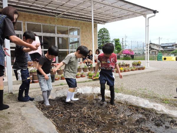 写真：田植えの様子2