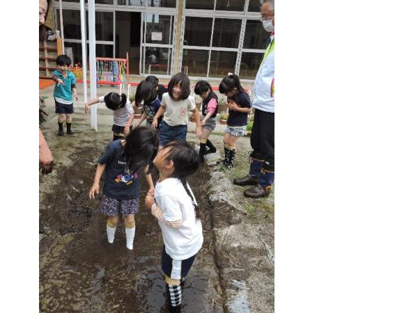 写真：田植えの様子4