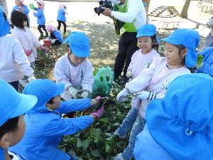 写真：綱引き楽しい