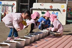 写真：園児が芽をさわっている