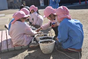 写真：園児が植木鉢を見ている