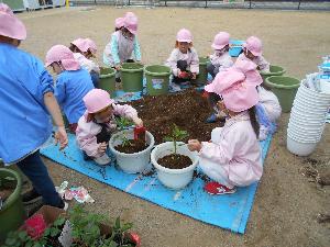 写真：もも組の子どもが土を入れている