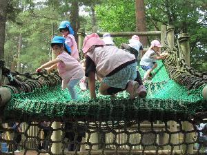 写真：アスレチックで遊んでいます。