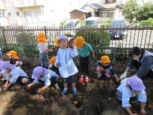 写真：大きないもを掘り当てた年中さん