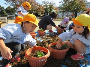 写真：芋の葉や桜の葉を使ってクレープ、人形作りを楽しむ女児