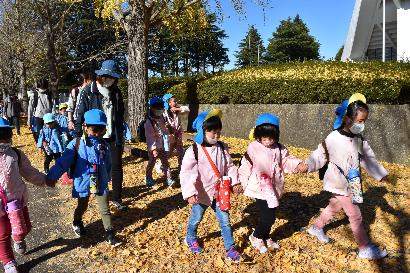 写真：園児が銀杏並木を歩いている