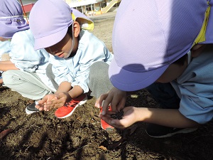 写真：年長男児が手のひらに分けてもらった菜の花の種を大切に見つめている様子