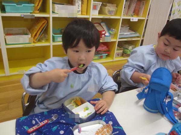 写真温かいお弁当を食べる三歳児