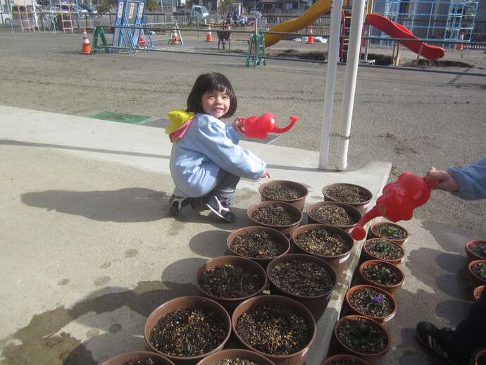 写真 鉢植えのみずやり