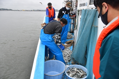 網に入った魚をザルに