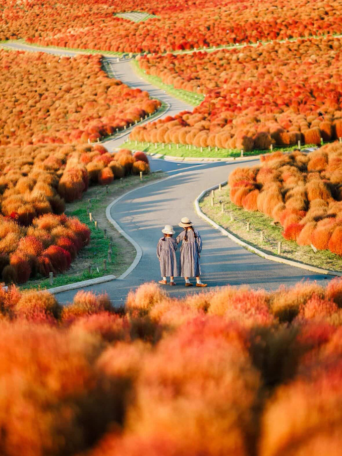 敢闘賞（秋部門）の作品