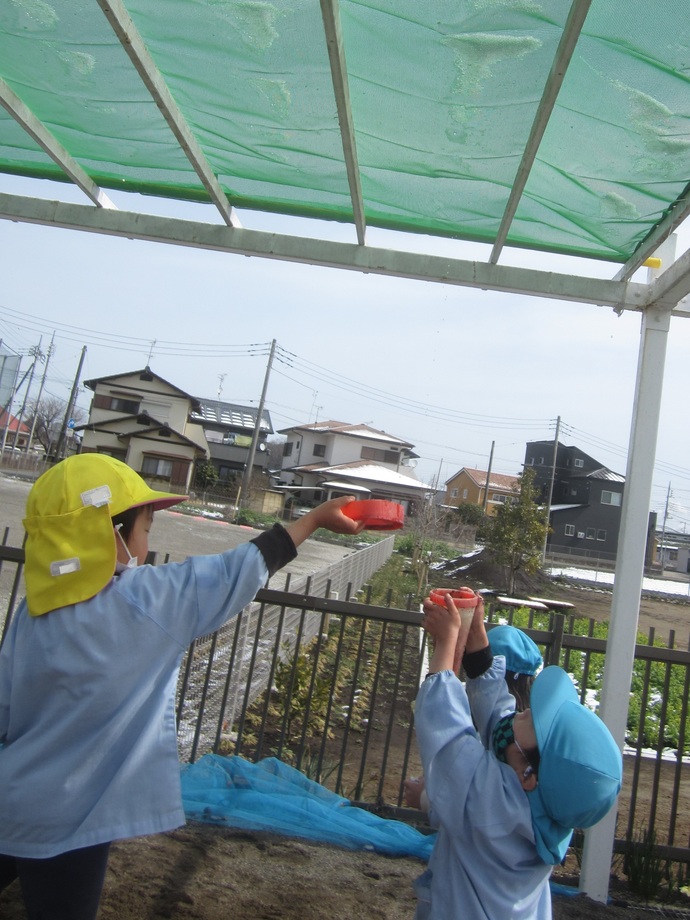 写真 砂場で遊ぶ年少年中児