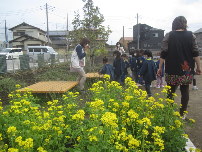 写真 園外の年長児