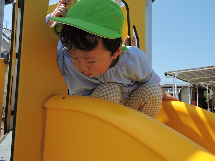 写真 テントウムシを見つける男児