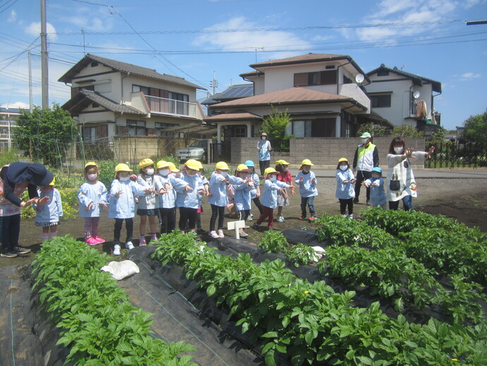 写真 ジャガイモ畑を眺める子どもたち