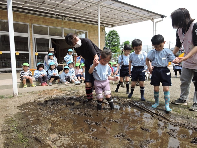 写真 しろかきの様子