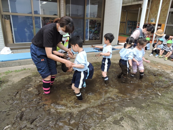 写真 しろかきの様子