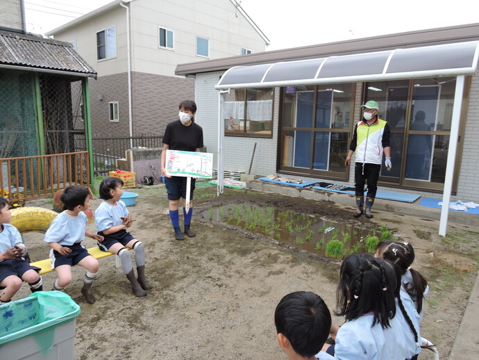 写真 田んぼに集まる園児たち