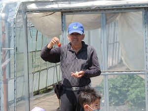 写真：いちご狩り