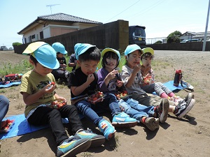 写真：いちご狩り