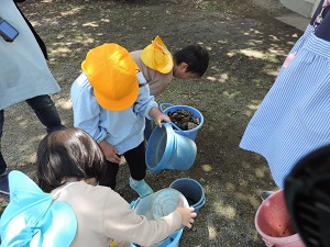 写真：園庭での石拾い