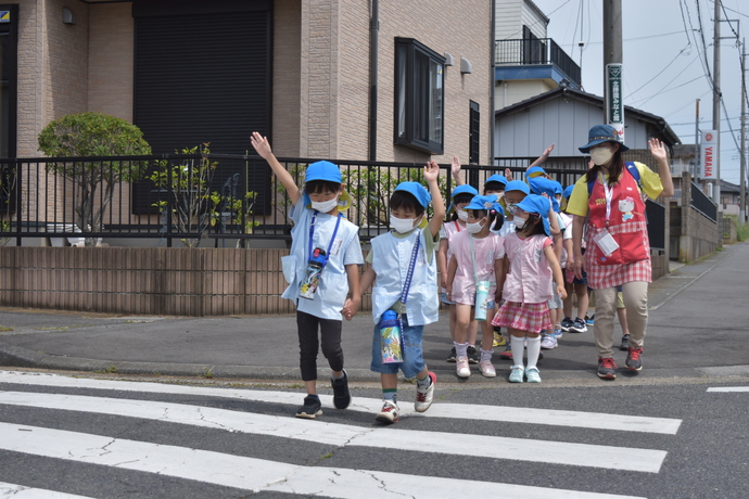 園児が横断歩道を渡っている