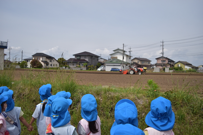 畑を耕すトラクターを眺める園児