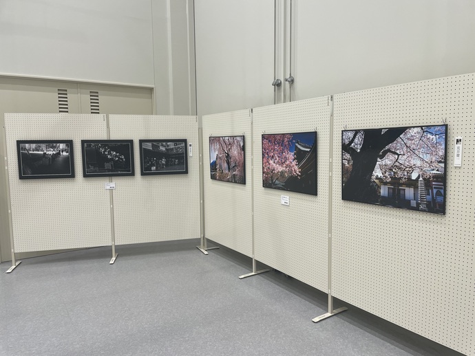 画像：ひたちなか市写真連盟展6