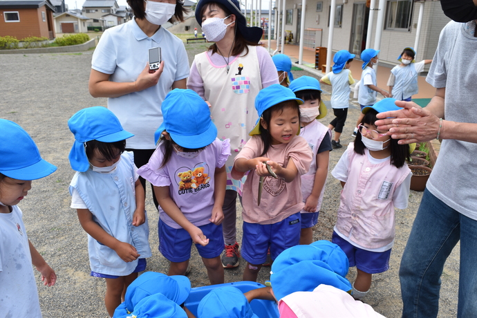 ウナギをさわる子ども達